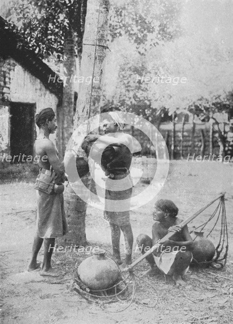 'Toddy Drawers', c1890, (1910). Artist: Alfred William Amandus Plate.