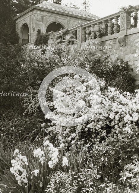 "Killenworth," George Dupont Pratt house, Glen Cove, New York, c1918. Creator: Frances Benjamin Johnston.
