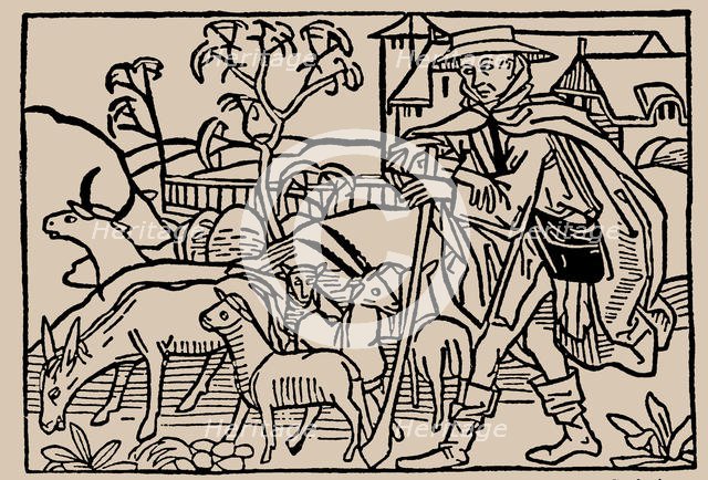 Shepherd. From Speculum Vitae Humanae by Rodericus Zamorensis, 1479. Creator: Anonymous.