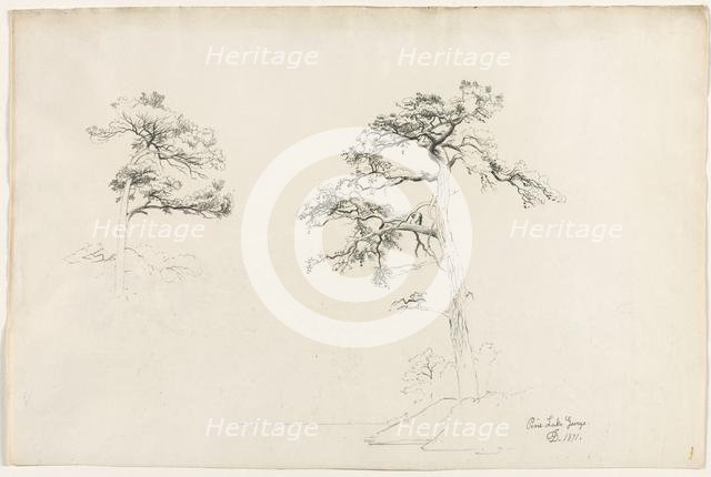 Pine, Lake George, 1871. Creator: David Johnson (American, 1827-1908).