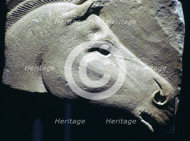 Egyptian relief of a horse's head. Artist: Unknown
