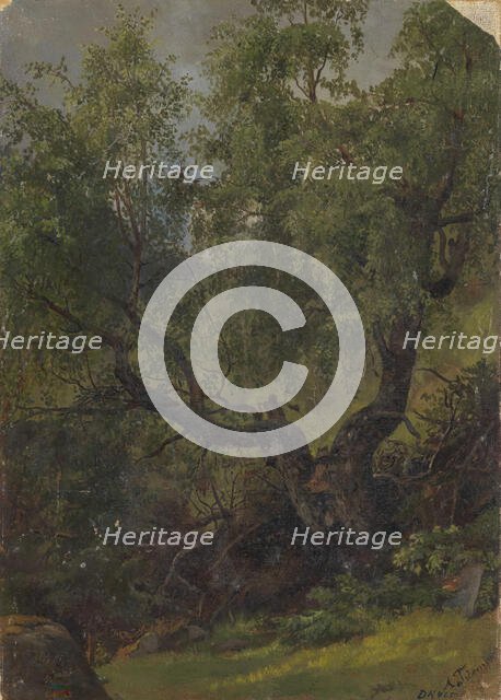 Forest Study from Numedal, 1848. Creator: Adolph Tidemand.