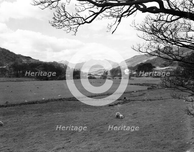 Landscape, Snowdon from Capel Corig, Wales, c1955. Creator: Arthur Charles Kirby Ware.