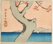 Maple Leaves at Kaian Temple (Kaianji benikaede), section of a sheet from the series "Cuto..., 1857. Creator: Ando Hiroshige.