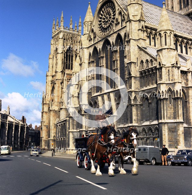Tetley shire horses outside York Minster, North Yorkshire, 1969. Artist: Michael Walters