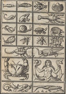 Trionfo Di Virtu. Libro Novo..., page 23 (verso), 1563. Creator: Matteo Pagano.