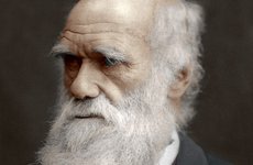 Thumbnail image of Charles Darwin, British naturalist, 1878. Artist: Unknown
