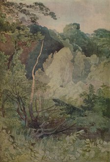 'Trees Near The Greta River', 1923. Artist: John Sell Cotman.