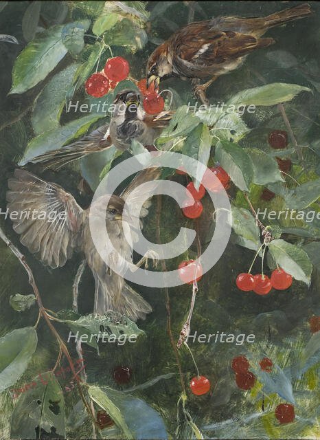 Sparrows in a Cherry Tree. Five studies in one frame, NM 2223-2227, 1885. Creator: Bruno Liljefors.