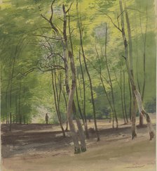 Forest near Braunfels, 1855. Creator: Carl Theodor Reiffenstein.