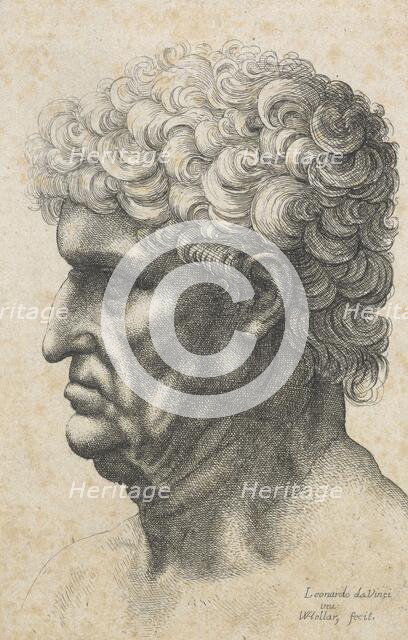 Caricatures and deformities after Leonardo. The old man with curly hair, c.1645. Creator: Wenceslaus Hollar.