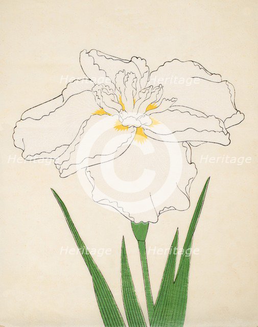 Bandai-No-Nami, No 1, 1890, (colour woodblock print)