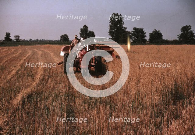 Harvesting oats, southeastern Georgia?, ca. 1940. Creator: Marion Post Wolcott.