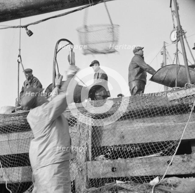 Dock stevedores at the Fulton fish market sending up baskets of fish..., New York, 1943. Creator: Gordon Parks.