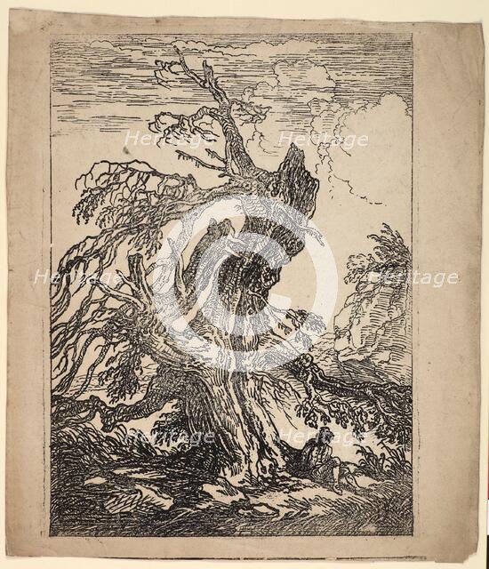 Study of a Tree, 1802. Creator: Raphael Lamar West.