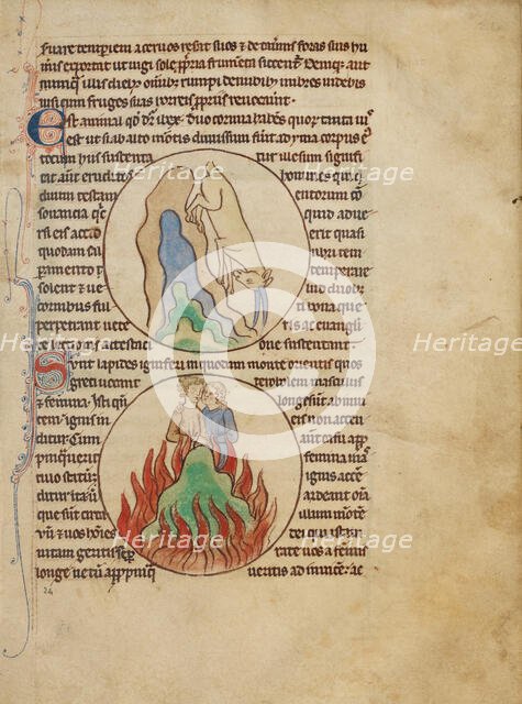 An Ibex; Fire Stones; Northumberland Bestiary, about 1250-1260. Creator: Unknown.