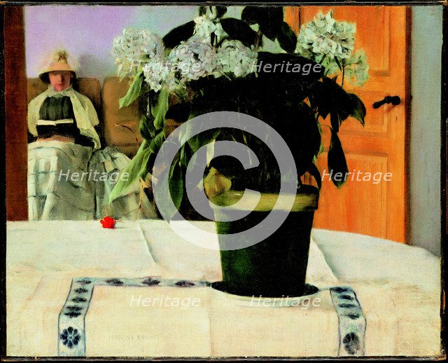 Hortensia, 1883-1888.