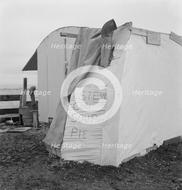 Outside of potato pickers' camp, across from the..., Tulelake, Siskiyou County, California, 1939. Creator: Dorothea Lange.