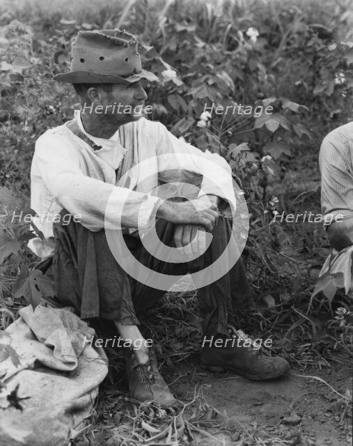 Bud Fields in his cotton patch, Hale County, Alabama, 1936. Creator: Walker Evans.