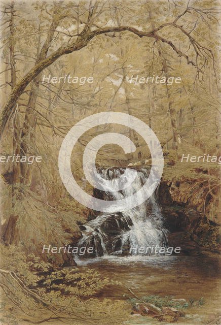 Indian Falls, Indian Brook, Cold Springs, New York, 1850. Creator: William Rickarby Miller.