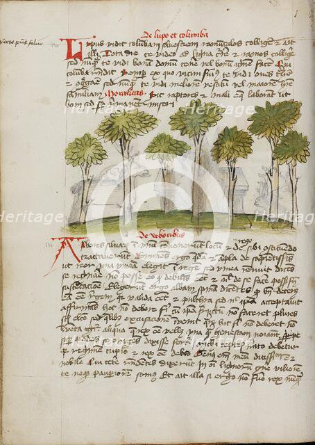 A Forest; Fables, third quarter of 15th century. Creator: Unknown.