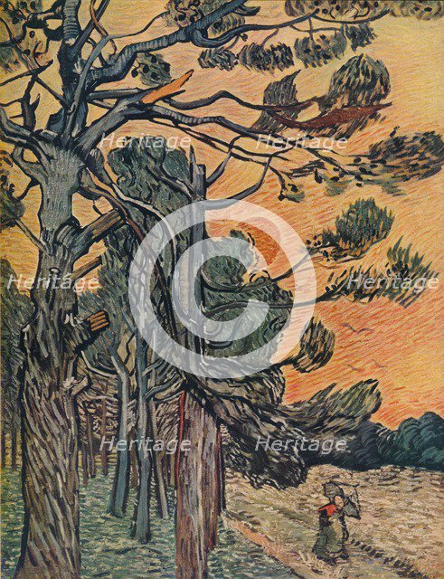 'Foret De Sapins Au Declin Du Jour', 1889. Artist: Vincent van Gogh.