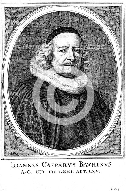 Jean Caspar Bauhin (1606-1659), Swiss physician and botanist. Artist: Unknown