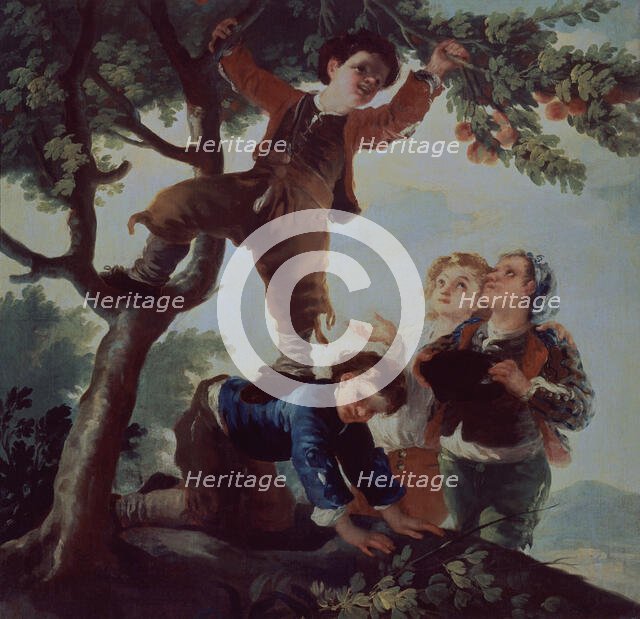 Boys Picking Fruit, 18th-19th century. Creator: Goya y Lucientes, Francisco de (1746 - 1828).