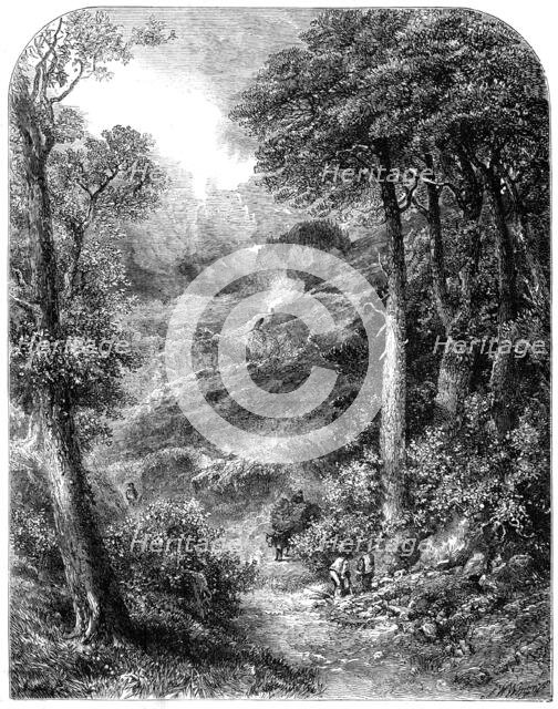 "The Path to Blackdown and the Surrey Highlands", by J. W. Weymper, from the exhibition of..., 1861. Creator: Unknown.