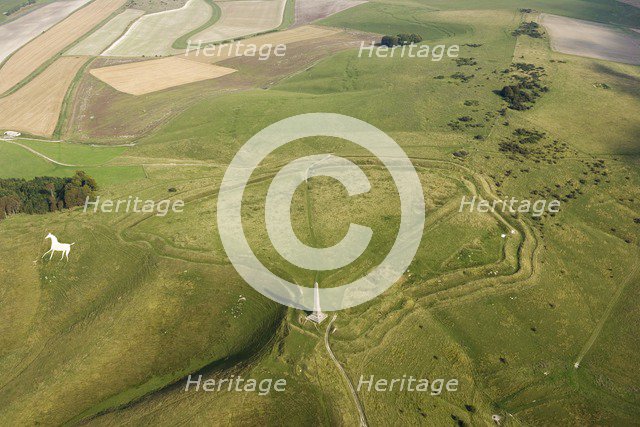 Cherhill Down, Wiltshire, c2011-c2016. Artist: Damian Grady.