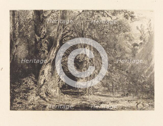 Flooding in the Forest of the Ile Séguin, 1833. Creator: Paul Huet.