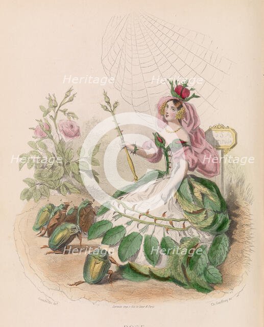Les Fleurs Animées, 1867. Creator: Charles-Michel Geoffroy.