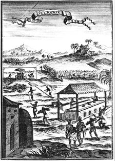 Sugar factory and plantation in the West Indies, 1686. Artist: Allain Manesson Mallet