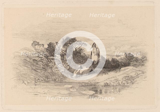 Herons. Creator: Karl Bodmer.