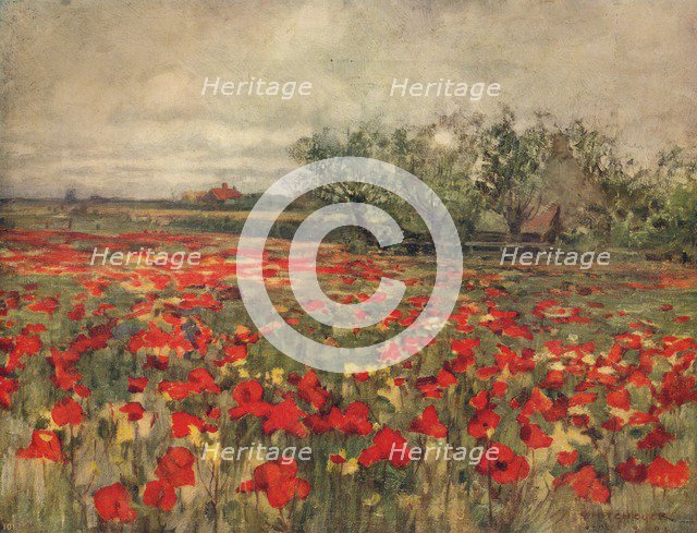 'The Poppy Field', c1900, (c1915). Artist: George Hitchcock.