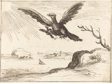 Eagle and Young. Creator: Jacques Callot.