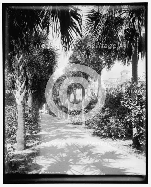 Ocean walk, Palm Beach, Florida, c1902. Creator: William H. Jackson.