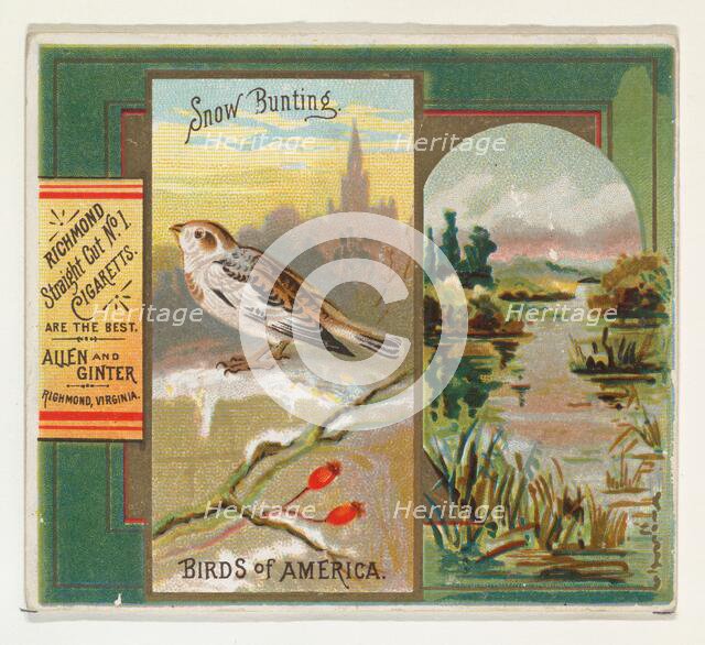 Snow Bunting, from the Birds of America series (N37) for Allen & Ginter Cigarettes, 1888. Creator: Allen & Ginter.