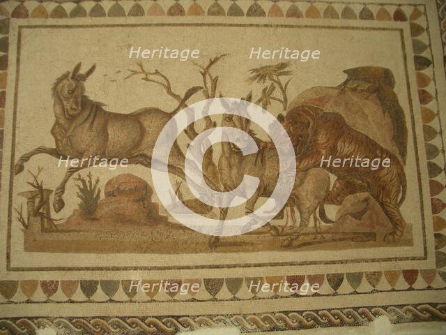 Mosaic, El Jem Museum, El Djem, Tunisia, 2009. Creator: Amanda Waite.