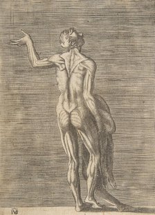 Flayed man with left hand on hip, holding skin in right hand, ca. 1531-76. Creator: Giulio Bonasone.