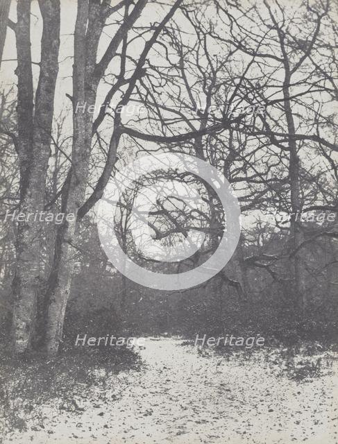 Road in the Forest, 1860-1863. Creator: Eugène Cuvelier (French, 1837-1900).