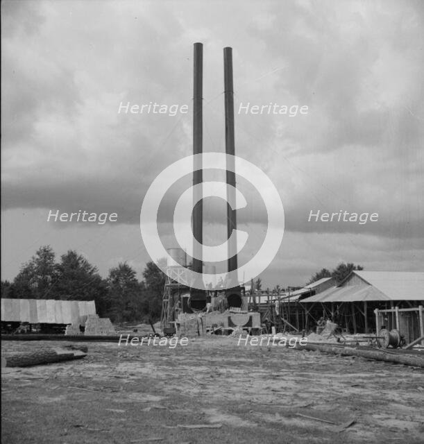 Turpentine plant near Marianna, Florida, 1937. Creator: Dorothea Lange.