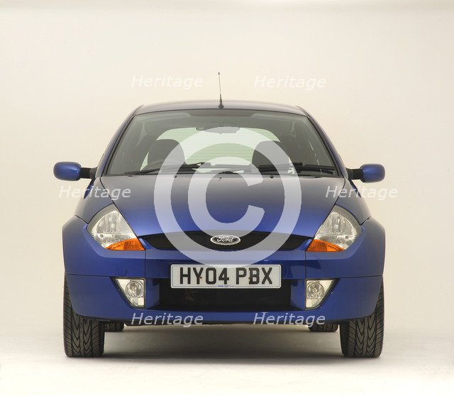 2004 Ford SportKa Artist: Unknown.