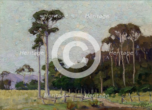Bartons Bush, Trentham, 1917. Creator: Ernest George Hood.