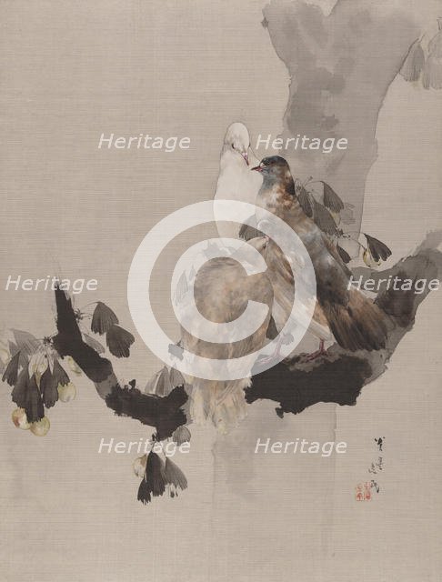 Pigeons in a Tree, ca. 1887. Creator: Watanabe Seitei.