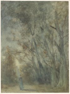 Woman on a forest path, 1838-1915. Creator: Johannes Gysbert Vogel.