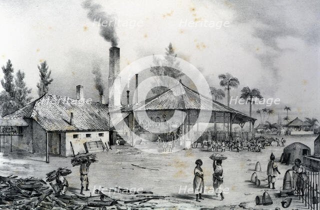 Trapiche de un ingenio during the grinding of sugar cane, 1840. Creator: Mialhe, Federico (1810-1881).