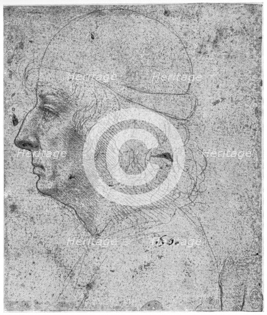 Portrait study of a man, 15th century(?) (1954).Artist: Leonardo da Vinci