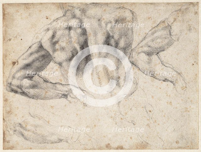 Study of the back and left arm of a male nude, 1523-1524 . Creator: Buonarroti, Michelangelo (1475-1564).