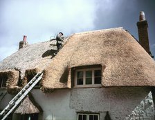 Thatching at Little Waddon, Dorset, c1955-1970. Creator: Arthur Charles Kirby Ware.